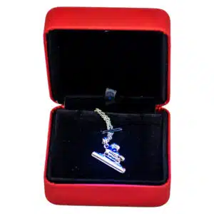 SkateTec ketting Otto