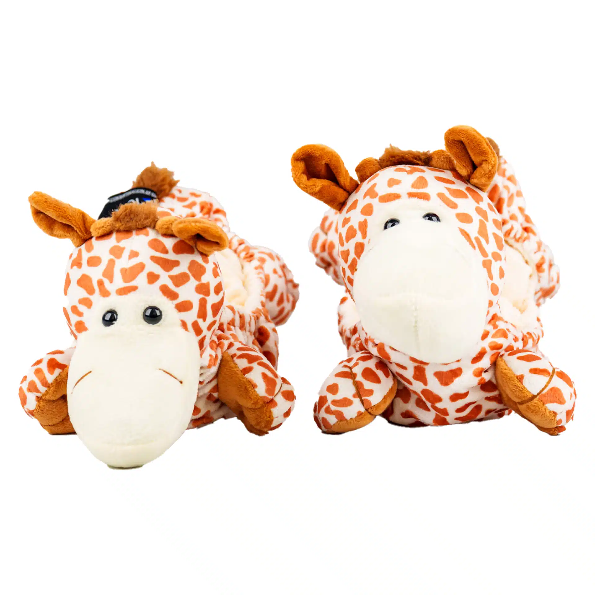 Nice skate friend giraffe